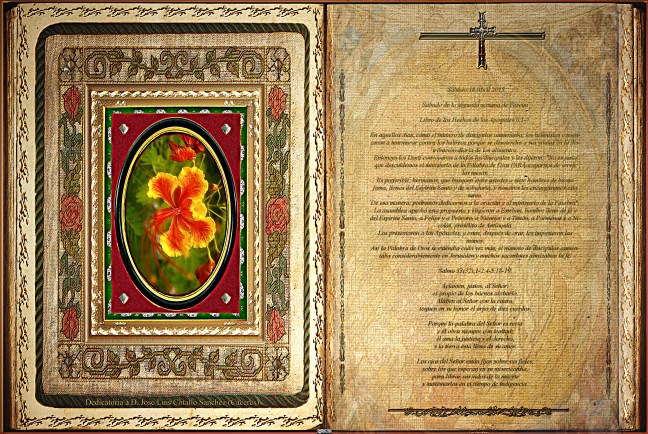 Jose Antonio Cotallo López