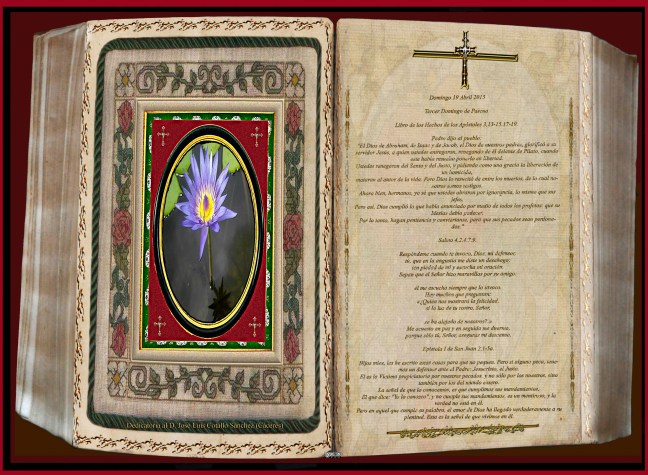 Jose Antonio Cotallo López