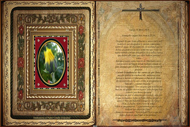 Jose Antonio Cotallo López