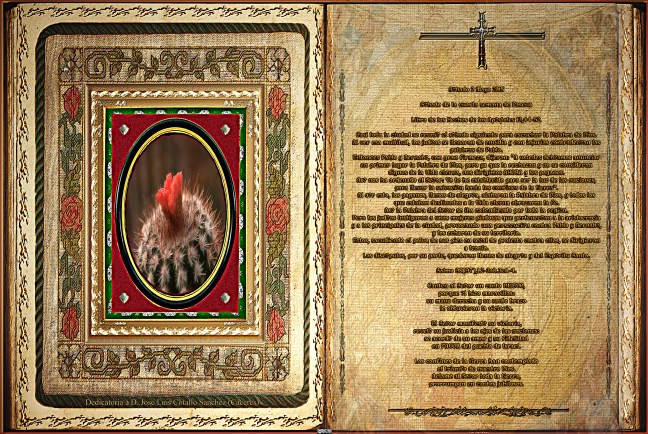 Jose Antonio Cotallo López