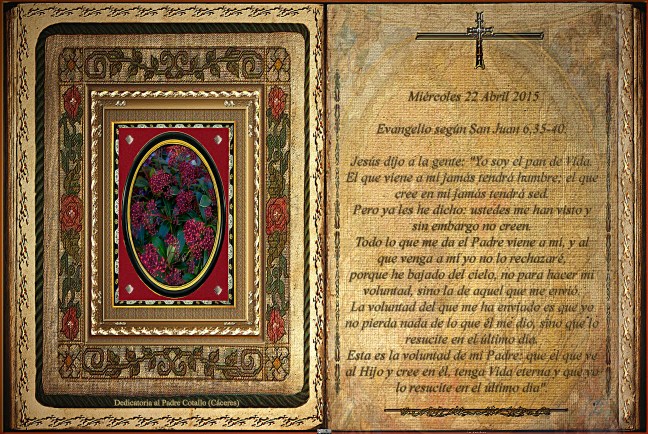 Jose Antonio Cotallo López