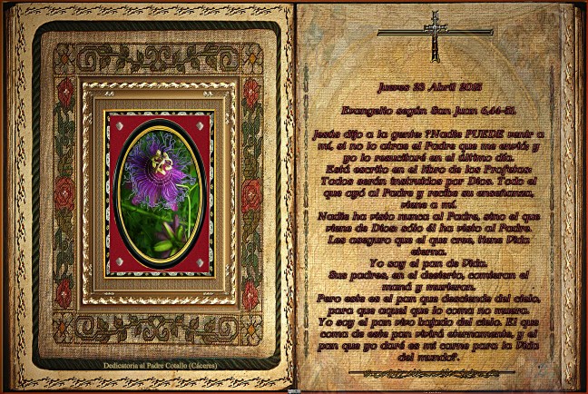  Jose Antonio Cotallo López