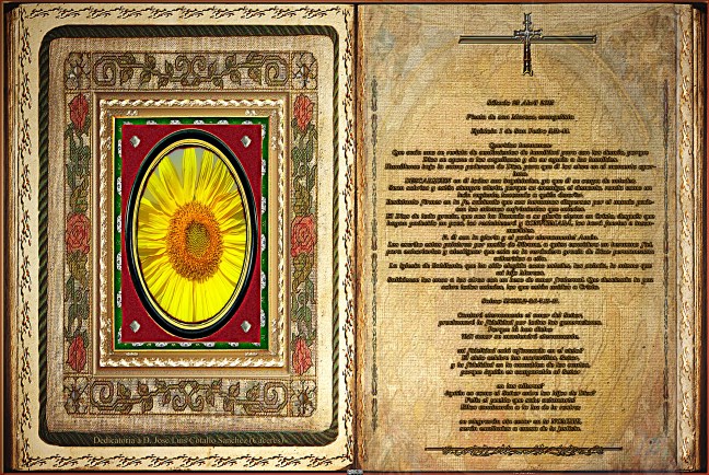 Jose Antonio Cotallo López