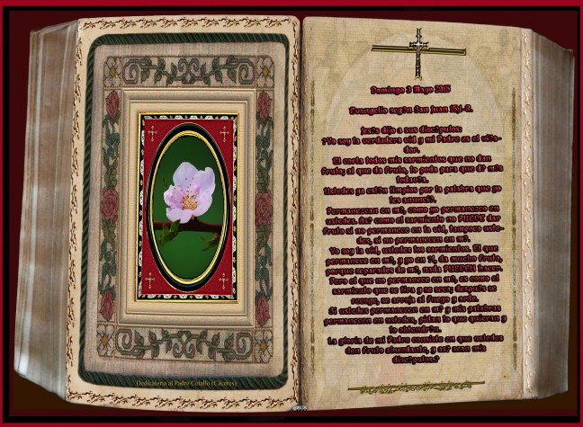  Jose Antonio Cotallo López