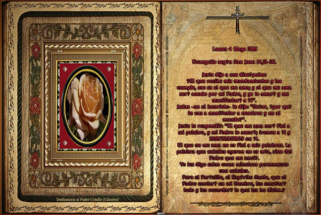 Jose Antonio Cotallo López