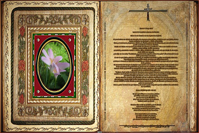 Jose Antonio Cotallo López