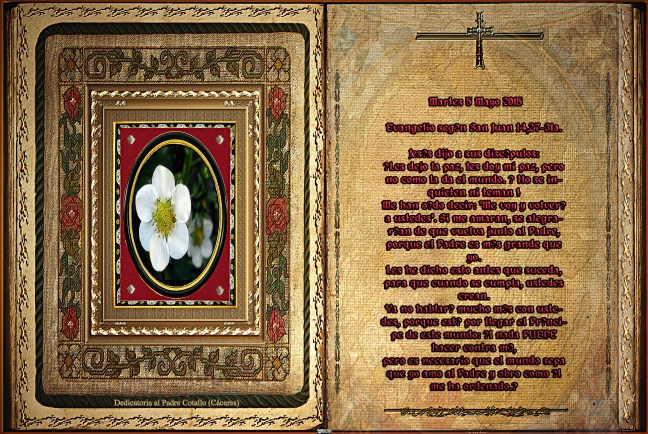 Jose Antonio Cotallo López