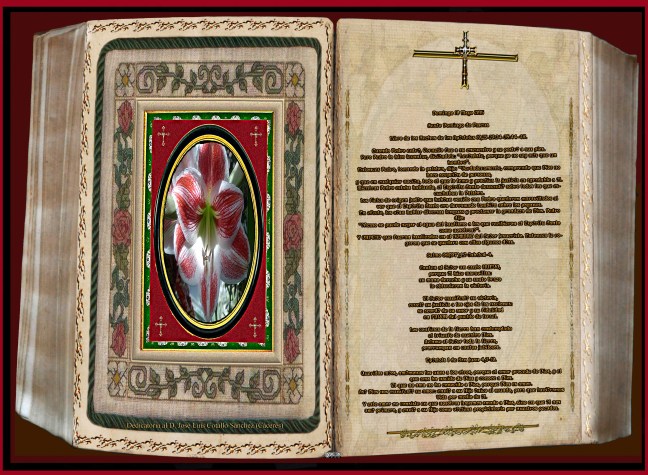 Jose Antonio Cotallo López