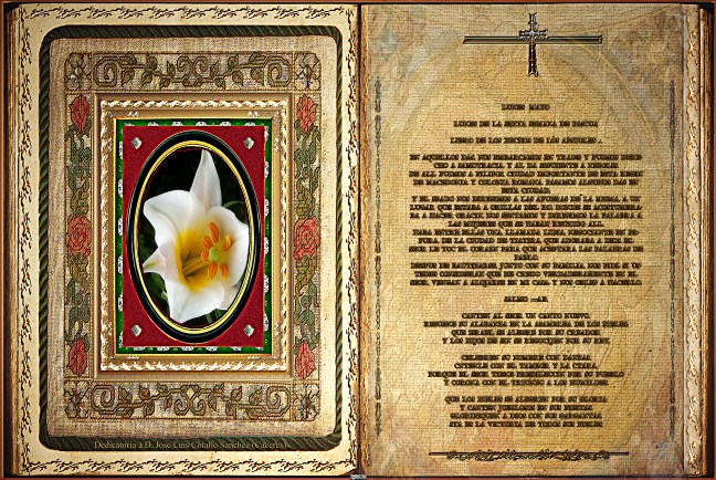 Jose Antonio Cotallo López