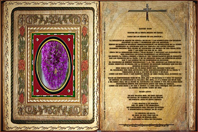 Jose Antonio Cotallo López   