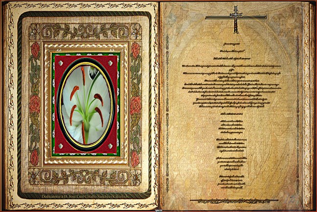 Jose Antonio Cotallo López