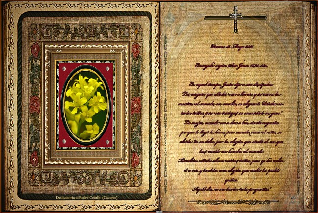 Jose Antonio Cotallo López