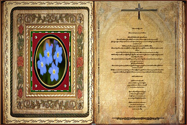 Jose Antonio Cotallo López