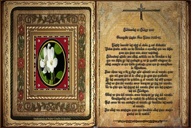 Jose Antonio Cotallo López