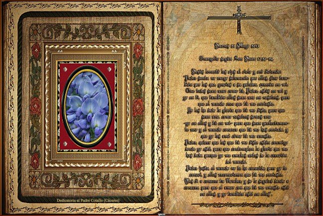  Evangelio según San Juan 17,20-26. 