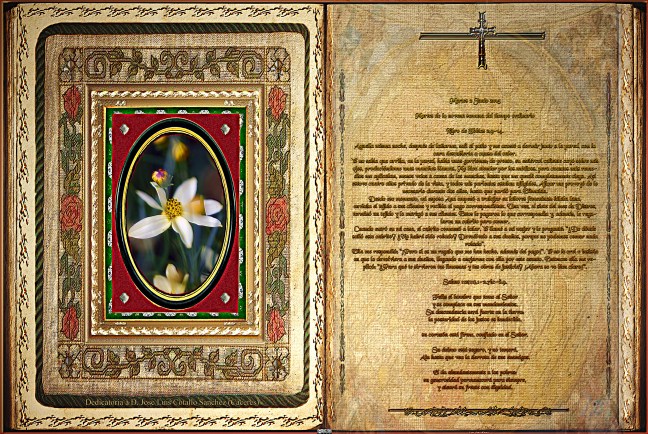 Jose Antonio Cotallo López