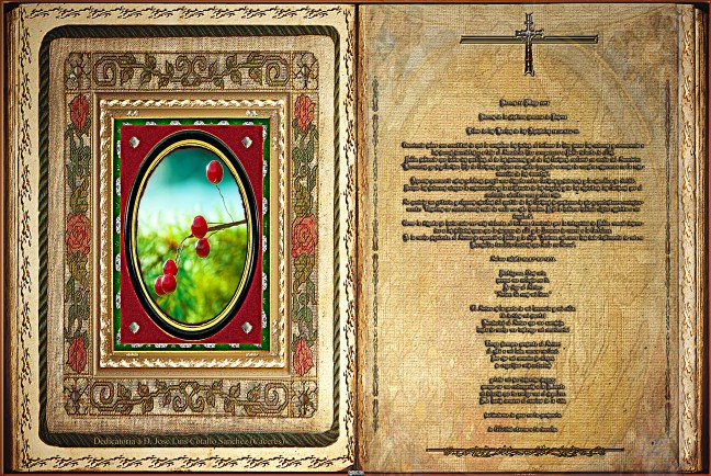 Jose Antonio Cotallo López