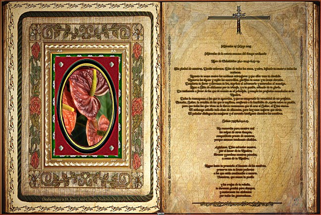 Jose Antonio Cotallo López