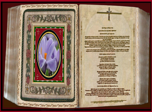  Jose Antonio Cotallo López