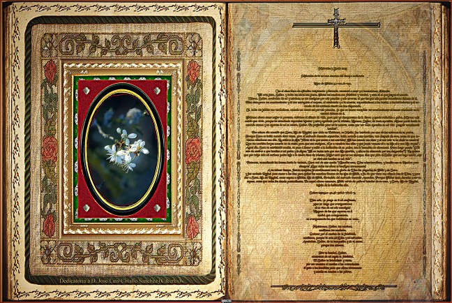 Jose Antonio Cotallo López