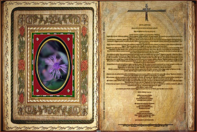 Jose Antonio Cotallo López