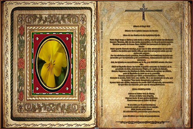 Jose Antonio Cotallo López