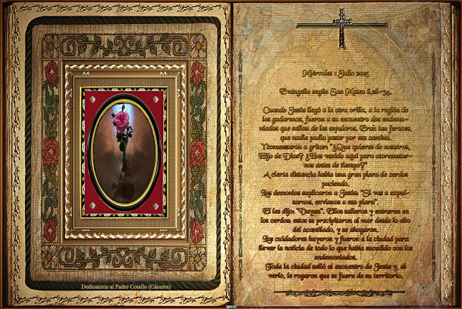 Evangelio según San Mateo 8,28-34.