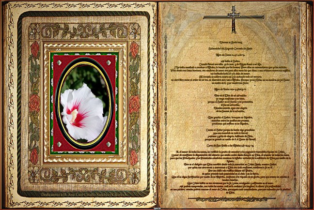 Jose Antonio Cotallo López