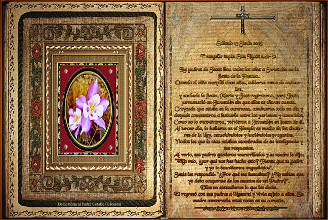 Jose Antonio Cotallo López