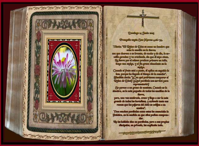 Jose Antonio Cotallo López