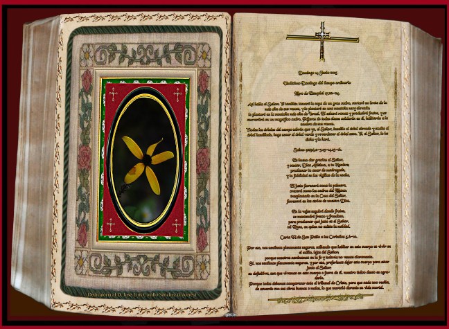 Jose Antonio Cotallo López