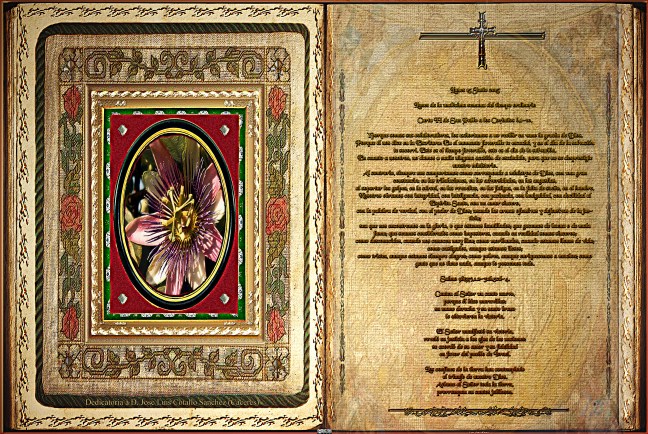 Jose Antonio Cotallo López