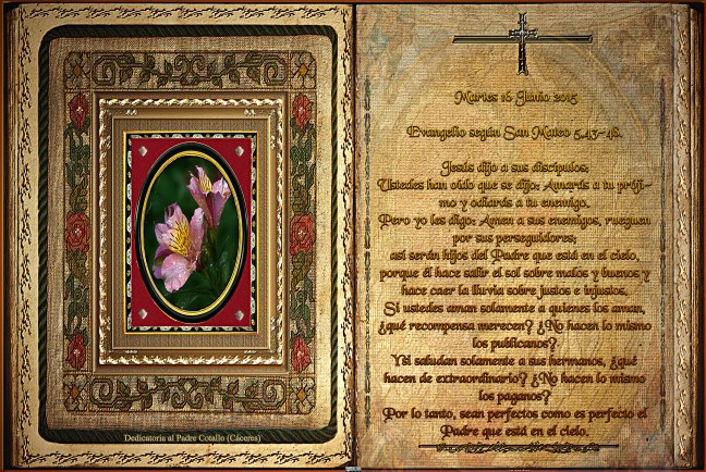 Jose Antonio Cotallo López   