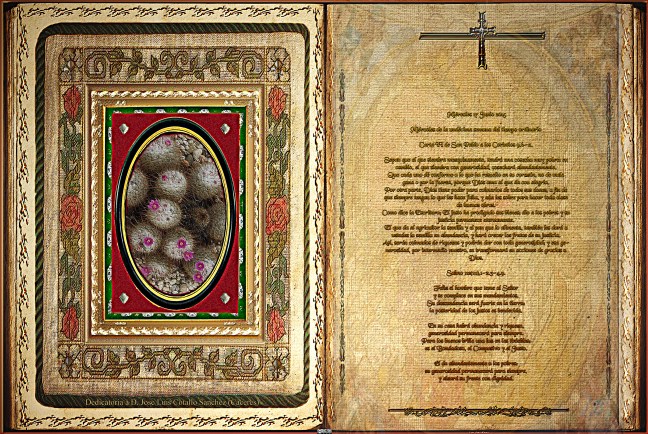 Jose Antonio Cotallo López