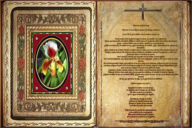 Jose Antonio Cotallo López   