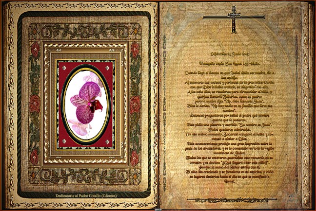 Jose Antonio Cotallo López