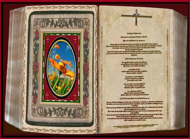 Jose Antonio Cotallo López