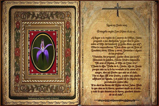 Jose Antonio Cotallo López