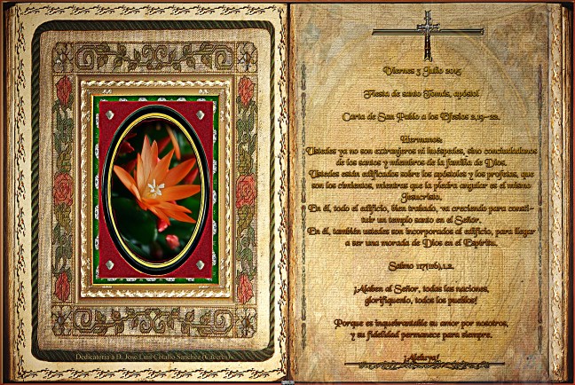 Jose Antonio Cotallo López   