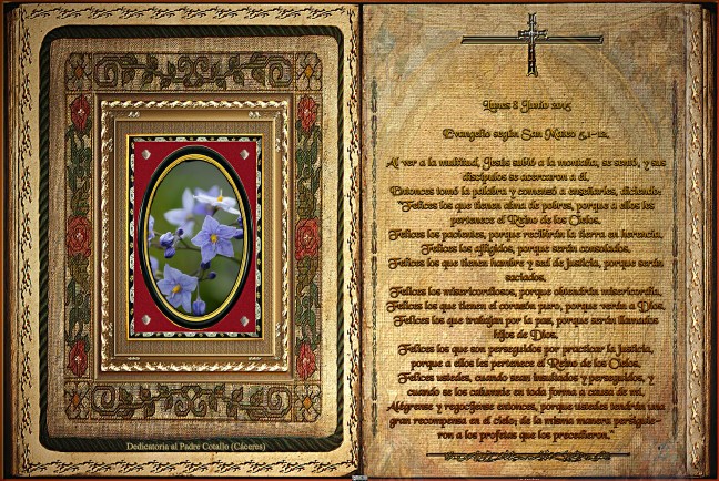 Jose Antonio Cotallo López