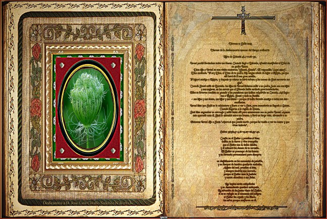 Jose Antonio Cotallo López