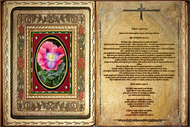   José Antonio Cotallo López