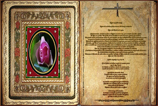 Jose Antonio Cotallo López