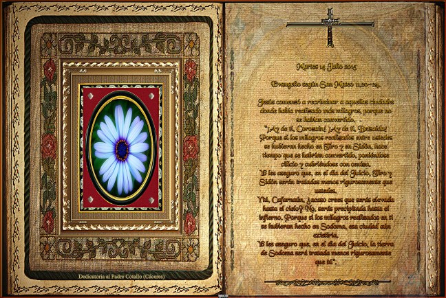   Evangelio según San Mateo 11,20-24.