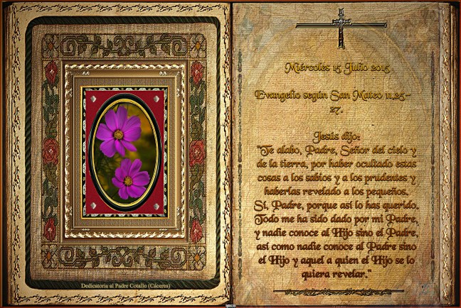  Evangelio según San Mateo 11,25-27.