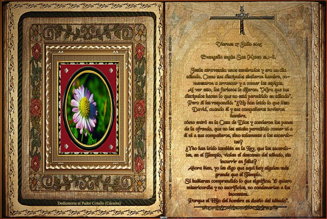 Jose Antonio Cotallo López