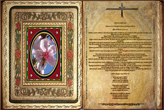 Jose Antonio Cotallo López