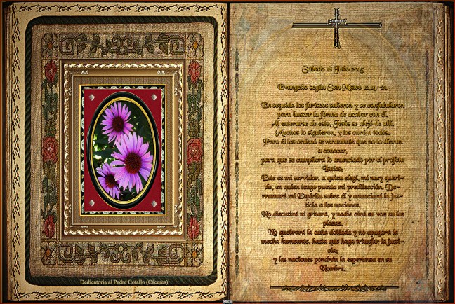 Jose Antonio Cotallo López