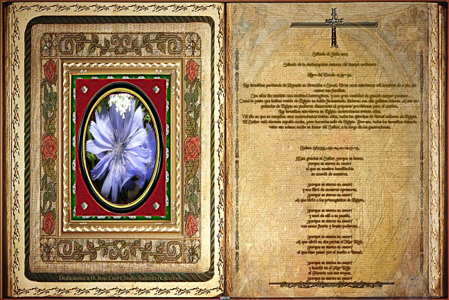 Jose Antonio Cotallo López