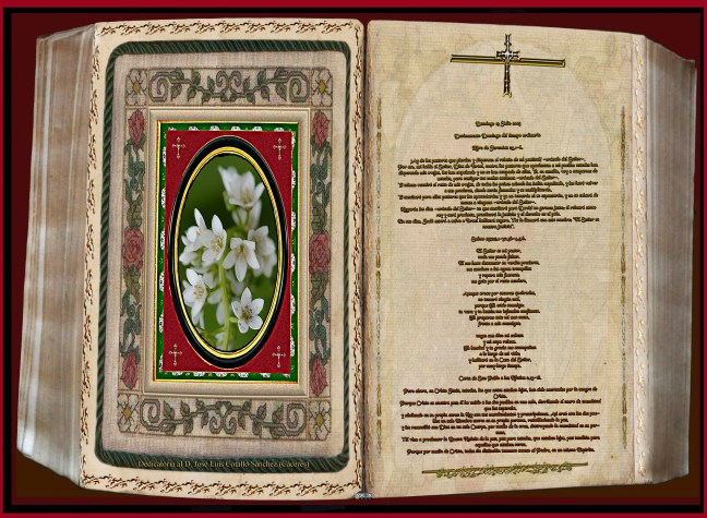 Jose Antonio Cotallo López